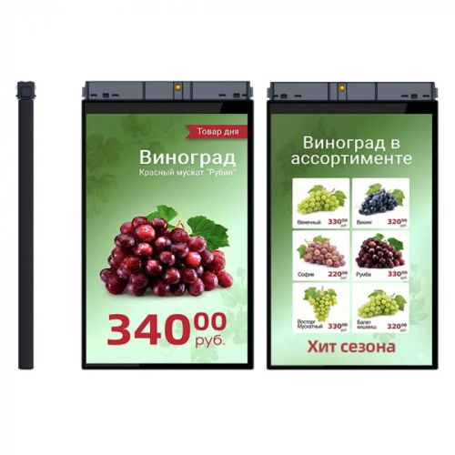 Купить TFT-дисплей MERTECH HL101 Dual 10,1″